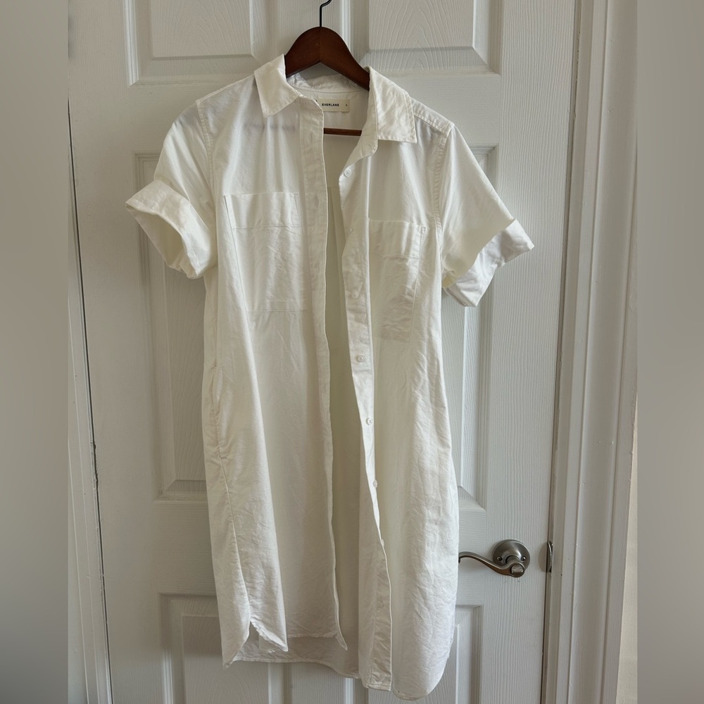 Everlane Oxford Shirt Dress